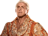 *Ric Flair2_m*